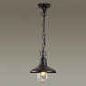 Уличный подвесной светильник Odeon Light Campa 4965/1