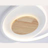 Светильник светодиодный потолочный AMBRELLA light FL4788