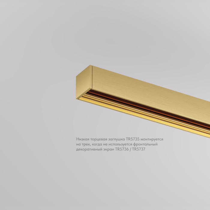 Заглушка Denkirs SHINE BASE TR5735-SB