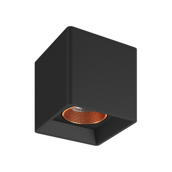 Накладной светильник Denkirs Rodvig DK3080-BBR