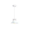 Подвесной светильник в стиле лофт Ambrella light TR8171