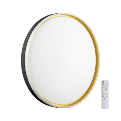 Настенно-потолочный светильник SONEX SAVI 7619/DL