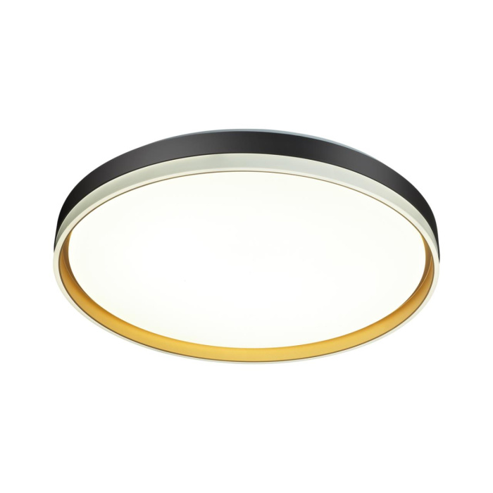 Настенно-потолочный светильник SONEX SAVI 7619/DL