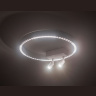 Потолочный светодиодный светильник Ambrella light FL5805