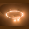 Потолочный светодиодный светильник Ambrella light FL5805