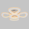 Потолочный светодиодный светильник с пультом Ambrella light FA8925