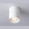 Светильник накладной со сменной лампой GU10 Ambrella light TN213136