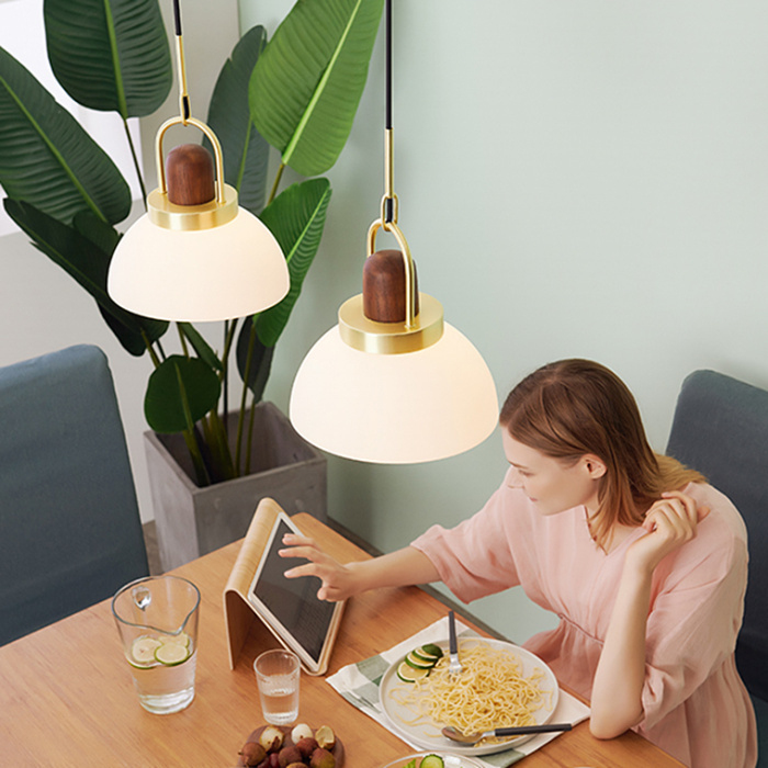 Подвесной светильник Arc Globe Шар D20 ImperiumLoft