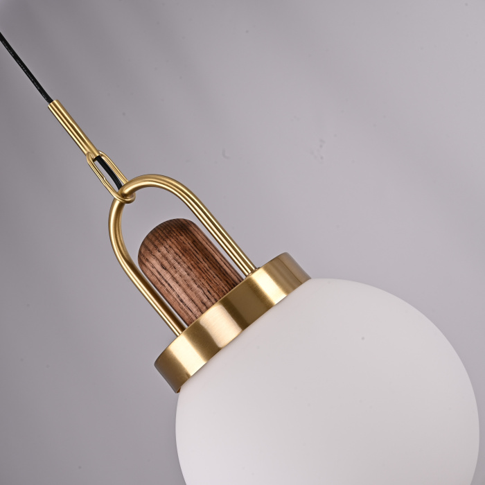 Подвесной светильник Arc Globe Шар D20 ImperiumLoft