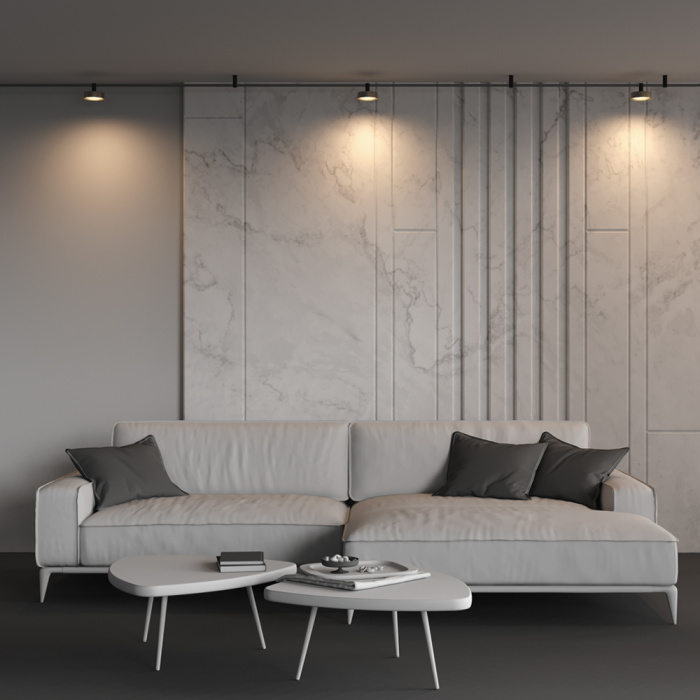 Трековый светильник Maytoni Zon TR204-1-12W3K-BBS