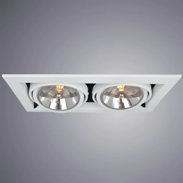 Встраиваемый светильник Arte Lamp CARDANI GRANDE A5935PL-2WH