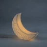 Настольная лампа Seletti Moon Light 14801