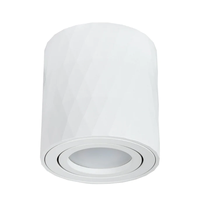 Светильник точечный накладной со сменной лампой Arte Lamp FANG A5559PL-1WH