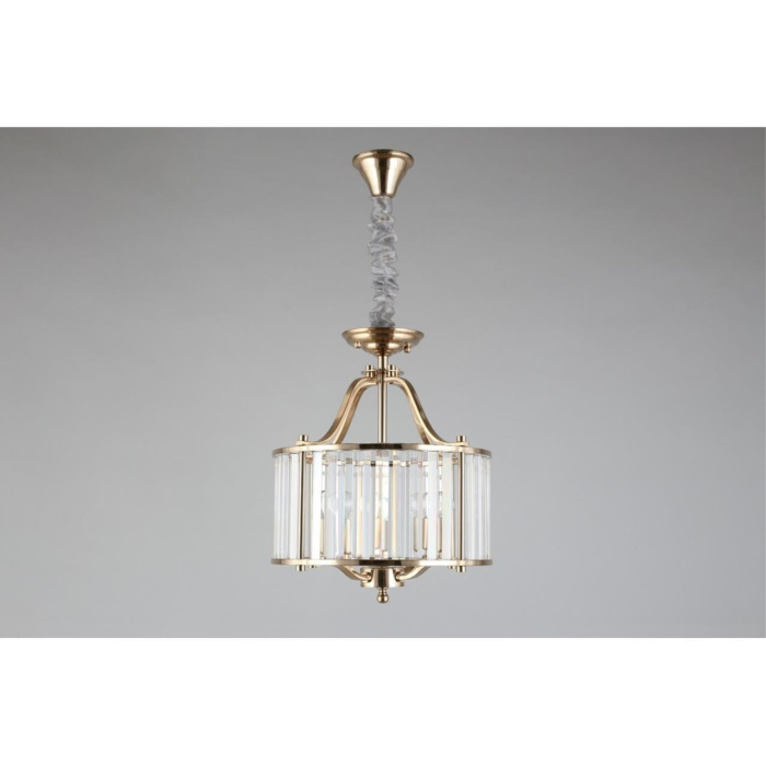 Люстра подвесная Aployt Romen APL.809.03.04