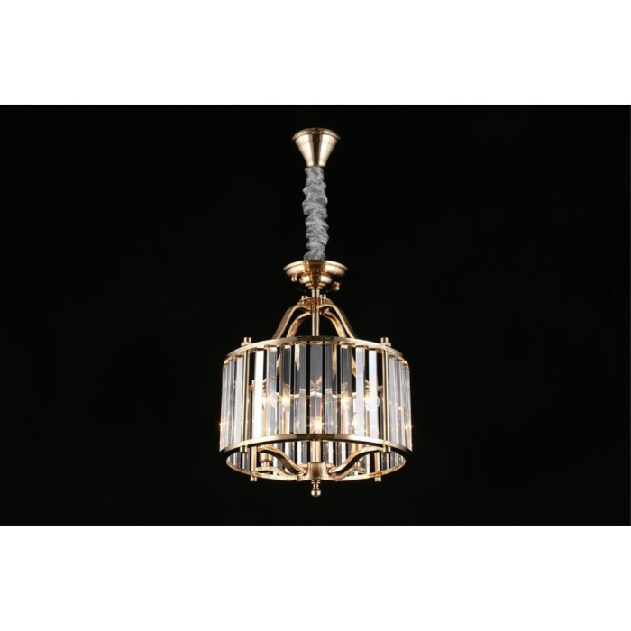 Люстра подвесная Aployt Romen APL.809.03.04