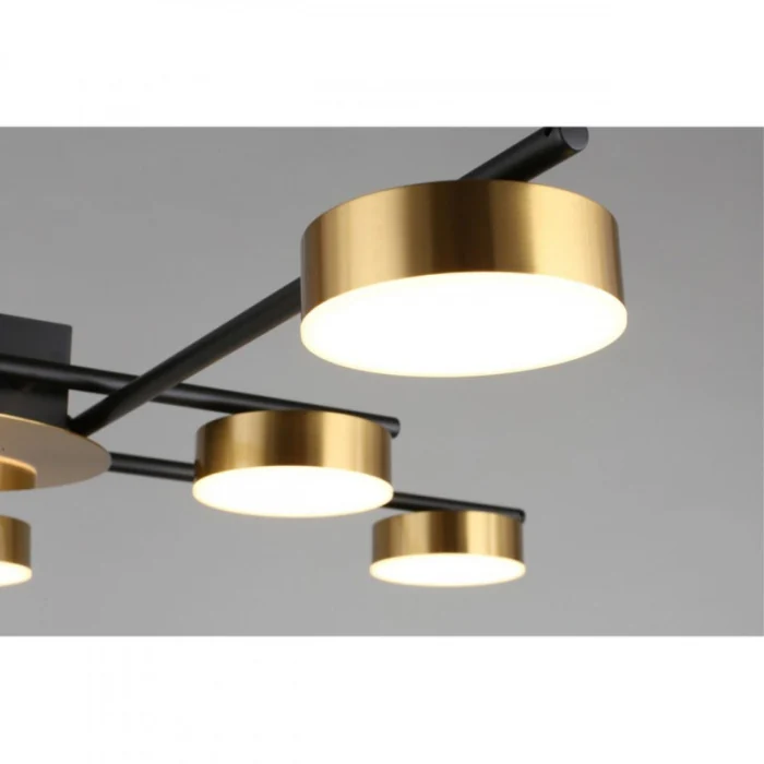 Люстра потолочная Aployt Delayn APL.042.07.56