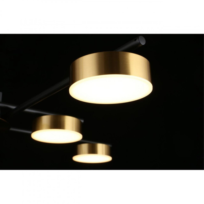 Люстра потолочная Aployt Delayn APL.042.07.56