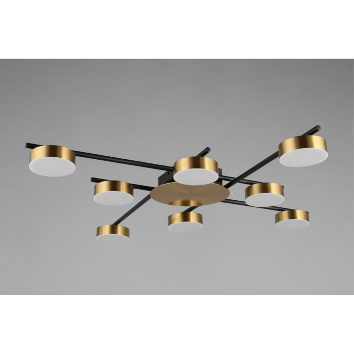 Потолочный светодиодный светильник Aployt Delayn APL.042.07.56