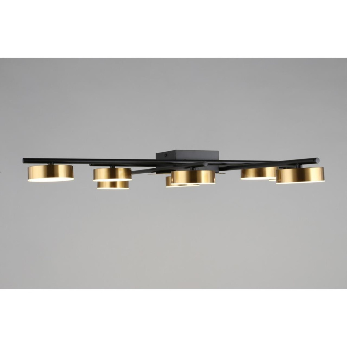 Потолочный светодиодный светильник Aployt Delayn APL.042.07.56