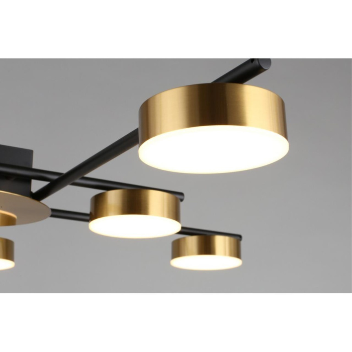 Потолочный светодиодный светильник Aployt Delayn APL.042.07.56