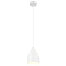 Подвесной светильник Arte Lamp Braccio A2054SP-1WH