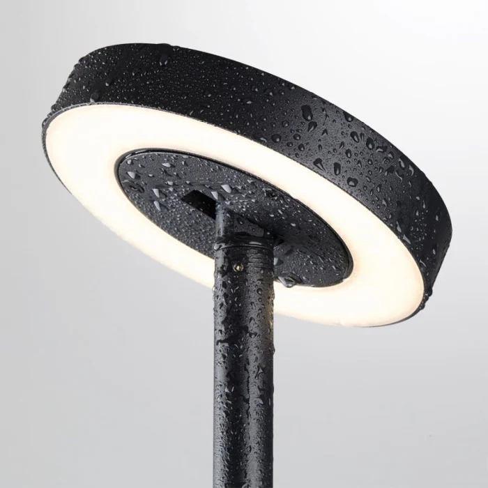 Ландшафтный светильник Odeon Light Nature Disc 7189/6GL