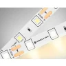 Светодиодная лента Ambrella Light GS1001 2835 60Led /4.8W m/ 12V IP20 3000K 5m /кратность резки 50mm Ambrella light GS1001