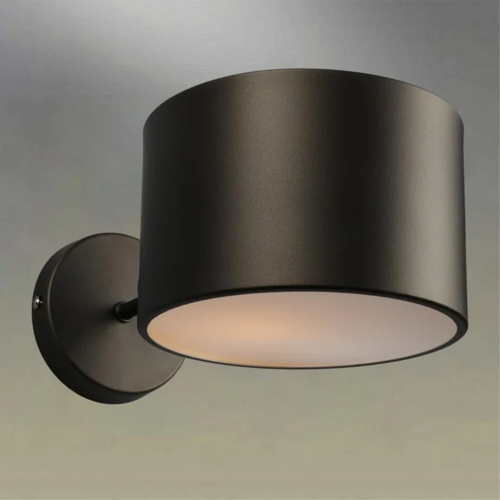Светильник настенный Omnilux Lisera OML-54501-01