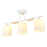 Потолочный светильник Ambrella light TR9546