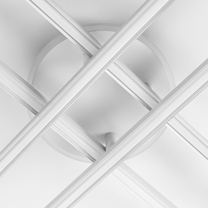 Светильник потолочный Citilux Trent CL203640