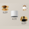 Комплект накладного светильника Ambrella light XS7510120