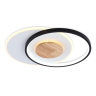 Светильник светодиодный потолочный AMBRELLA light FL4789
