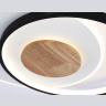 Светильник светодиодный потолочный AMBRELLA light FL4789
