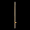Настенный светильник Loft it Rays 10054GD