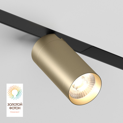 Светильник на шине Denkirs SMART SPOT DK8020-BG