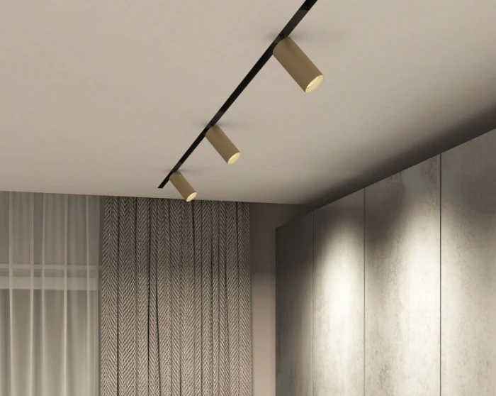 Светильник на шине Denkirs SMART SPOT DK8020-BG