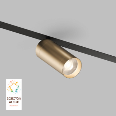 Светильник на шине Denkirs SMART SPOT DK8020-BG