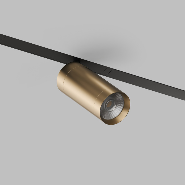 Светильник на шине Denkirs SMART SPOT DK8020-BG