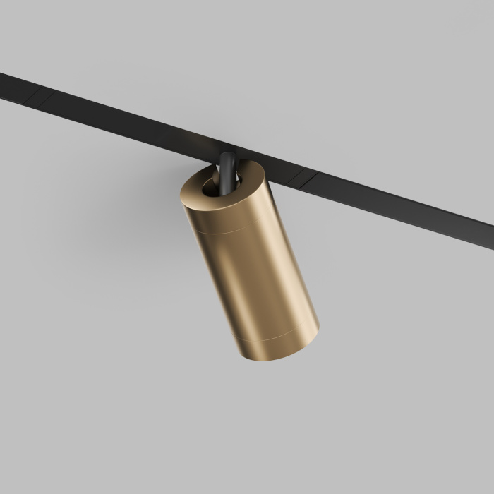 Светильник на шине Denkirs SMART SPOT DK8020-BG