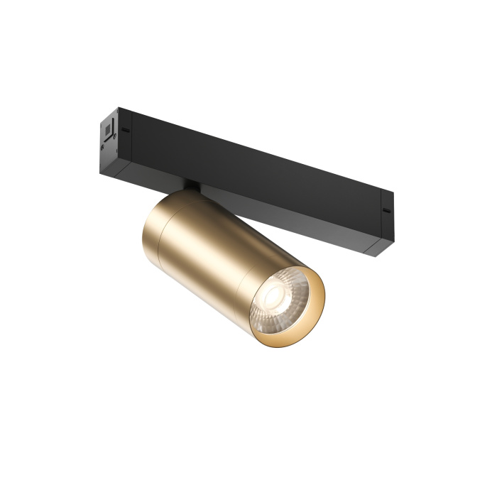 Светильник на шине Denkirs SMART SPOT DK8020-BG