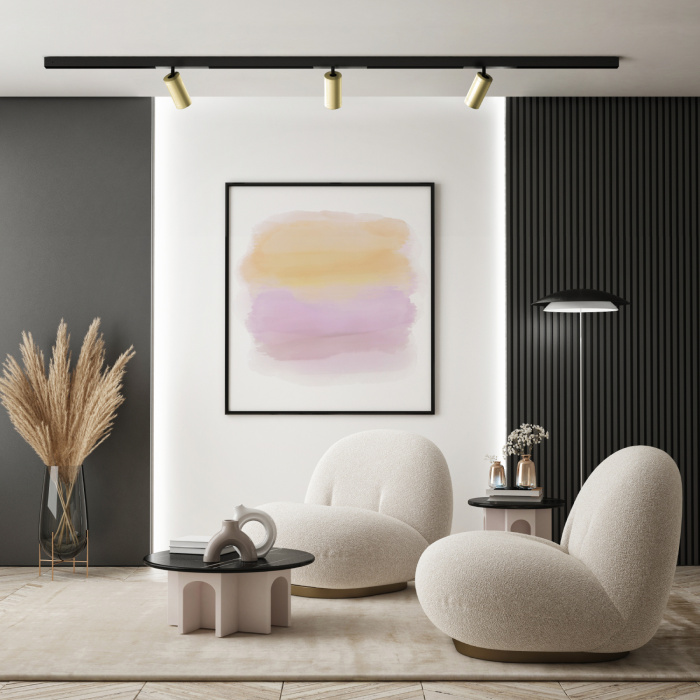 Светильник на шине Denkirs SMART SPOT DK8020-BG