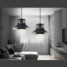 Подвесной светильник в стиле лофт Ambrella light TR8172