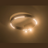 Потолочный светодиодный светильник Ambrella light FL5806