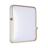 Настенно-потолочный светильник SONEX OLIDI WHITE 7680/EL