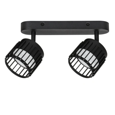 Спот Arte Lamp ATRIA A8031PL-2BK