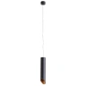 Подвесной светильник Arte Lamp Pilon-Gold A1536SP-1BK