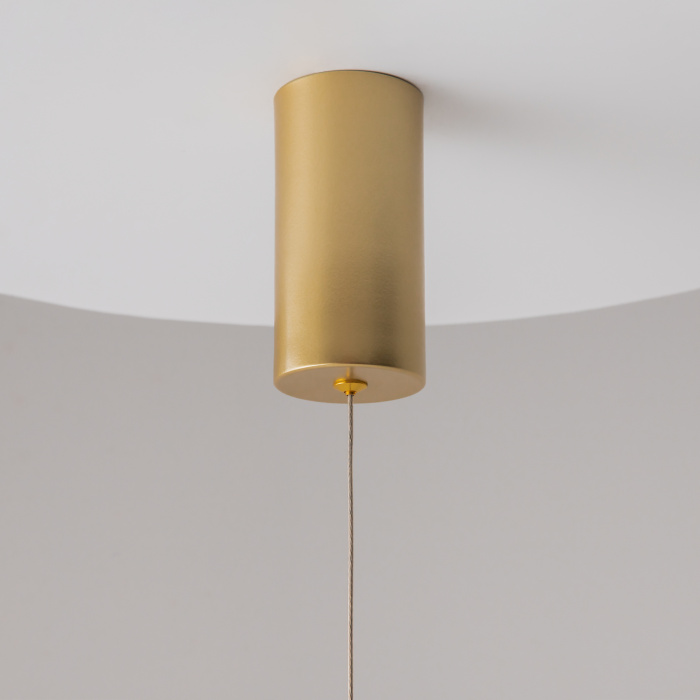 Подвесной светильник Maytoni Ray P022PL-L10MG3K