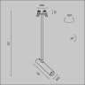 Подвесной светильник Maytoni Focus T P141RS-L125-6W3K-W