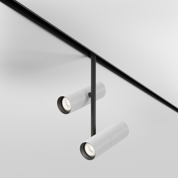 Трековый светильник Maytoni Elti Duo TR005-4-2X12W-DS-BW