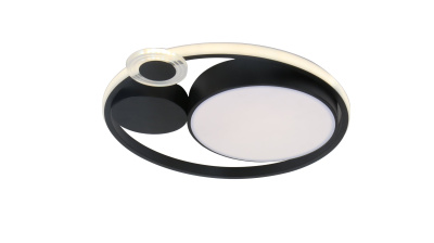 Светильник потолочный Arte Lamp STOCKHOLM A2690PL-1BK